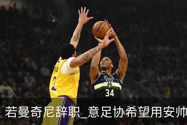 若曼奇尼辞职 意足协希望用安帅或卡纳瓦罗替代