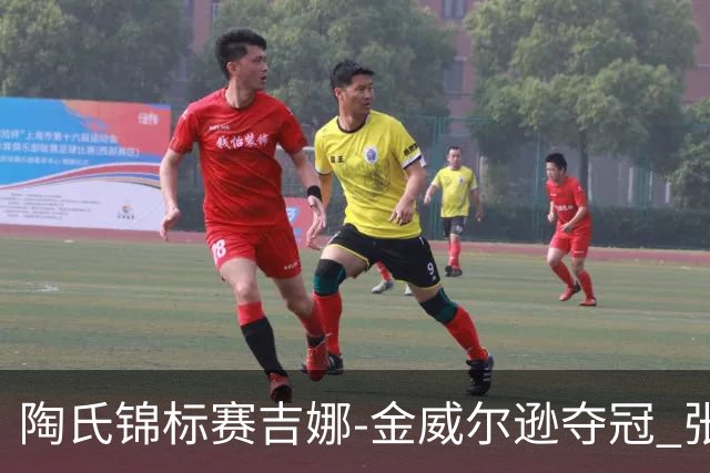 陶氏锦标赛吉娜-金/威尔逊夺冠 张维维/张雅惠T12